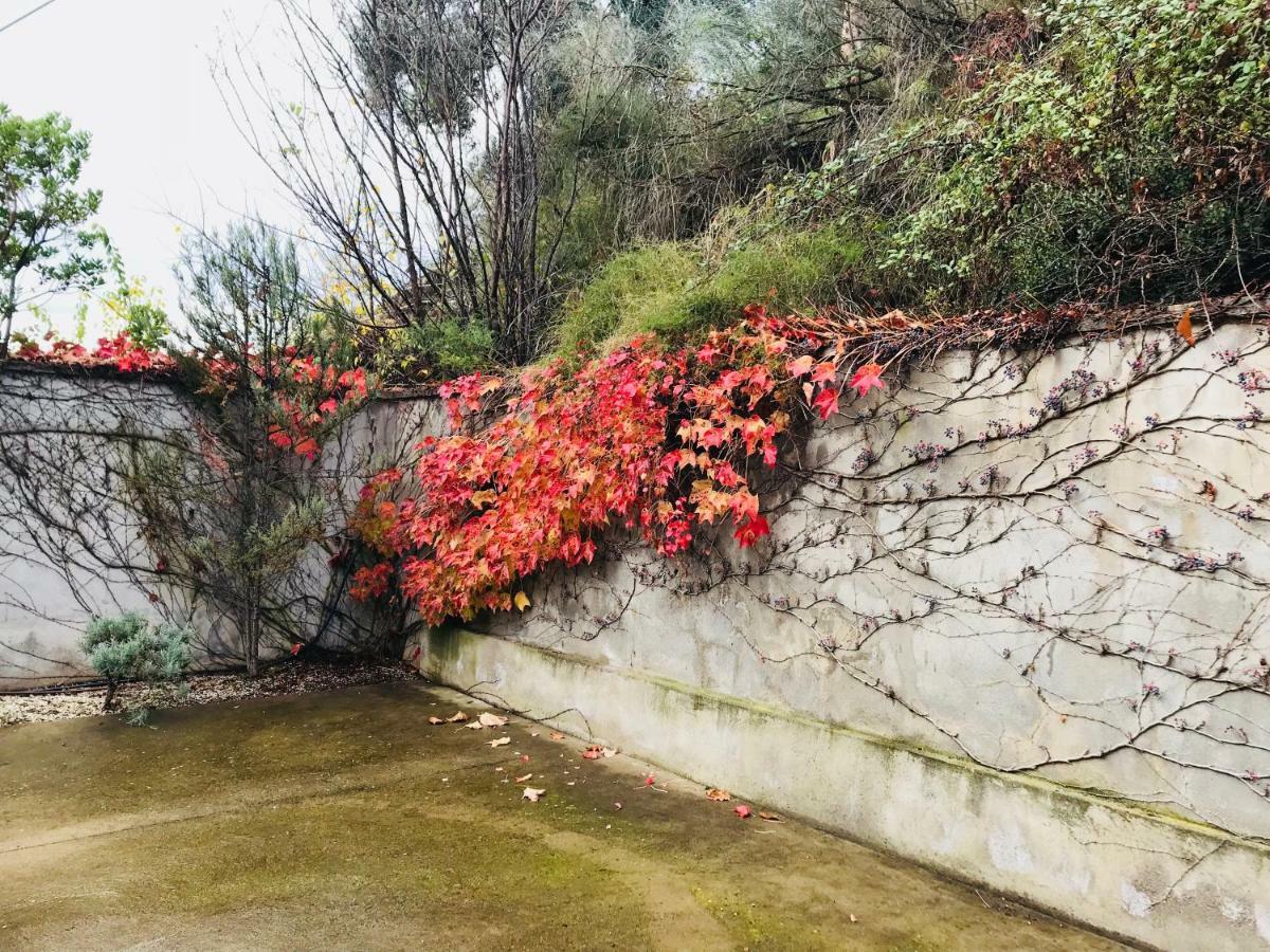 Puerta De Sobrarbe - Torreciudad Villa El Grado Dış mekan fotoğraf